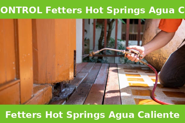 PEST CONTROL Fetters Hot Springs Agua Caliente